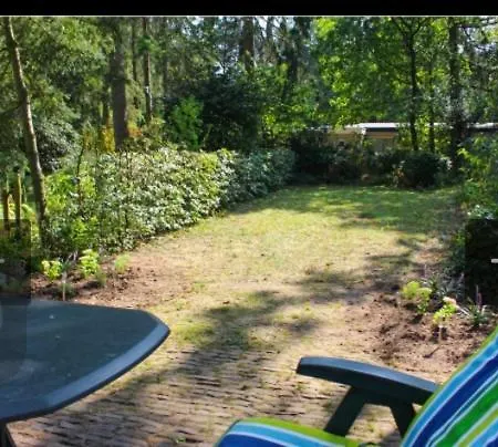 Bos Bungalow Zonnetje 93 ゼルヘーム