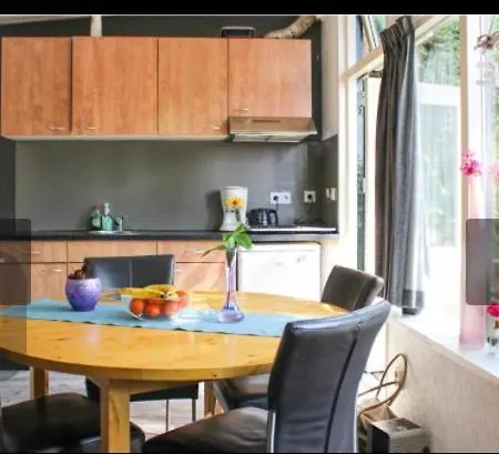 Bos Bungalow Zonnetje 93 * ゼルヘーム